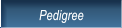 Pedigree Pedigree