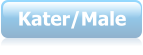 Kater/Male