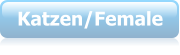 Katzen/Female