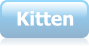 Kitten